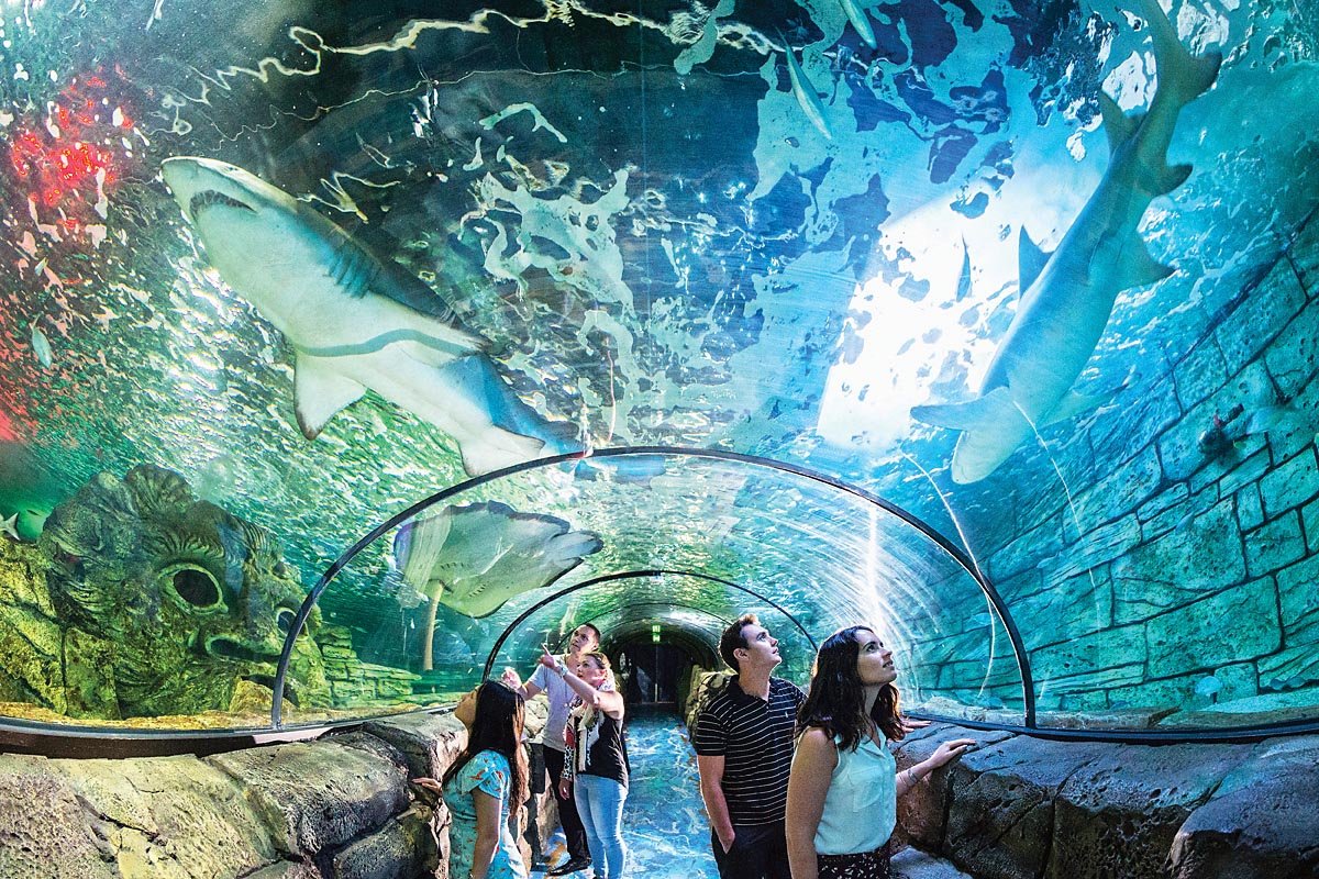 Tickets for Sea Life Sydney Aquarium | Best-tickets.com.au