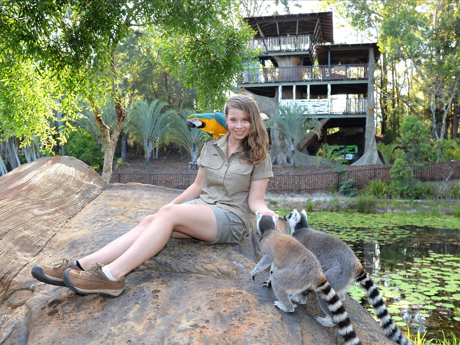 australia zoo guided tours