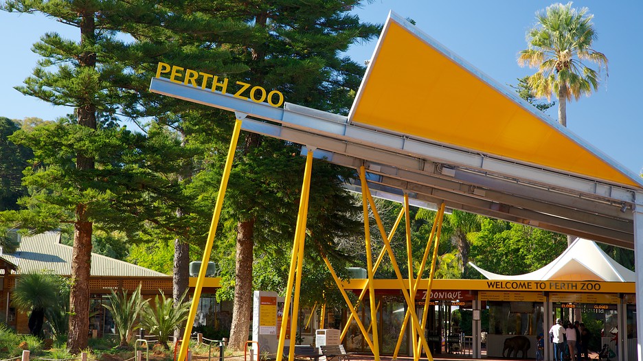 Perth Zoo 2025